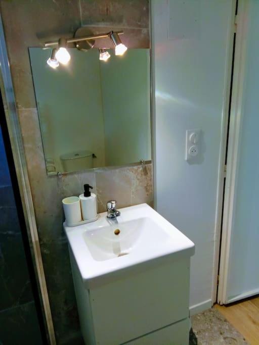 Charmant Loft Avec Jardin Pres Du Centre Ville アンボワーズ エクステリア 写真